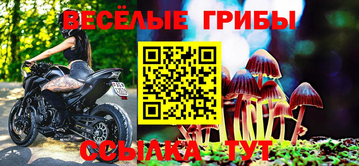 Гусь-Хрустальный  Псилоцибиновые грибы прущие грибы  Галлюциногенные грибы Magic Shrooms  Вход с VPN 
